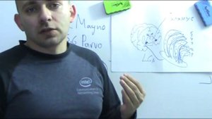 Латеральное коленчатое тело LGN