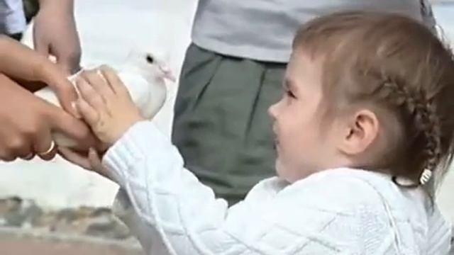 Вологодские голуби помахали лету крылом смотреть онлайн