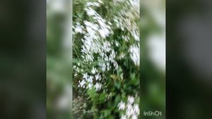 Мой самый лучший братик научился говорить Йоу
