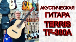 Акустическая гитара Terris TF-380A NA | мини обзор от MAJOR MUSIC