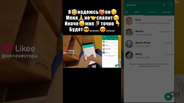 Скулбой. Делал не я!. Юмор