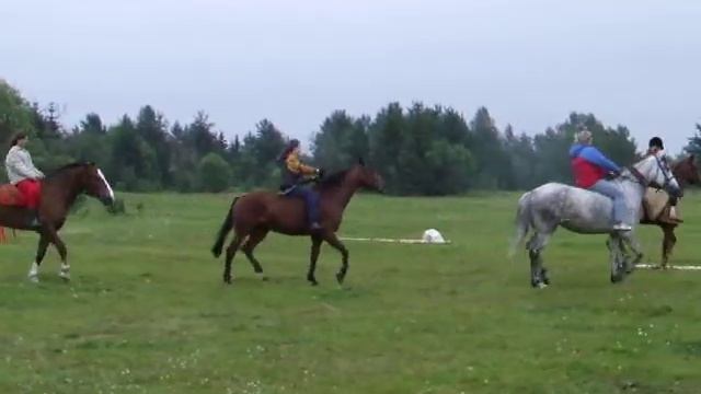Horse riding/Разминка без седел смотреть онлайн