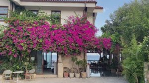 Прогулки по Сиде. Турция. Июнь 2024. Старый город, набережная, корабль, бёрдвотчинг в Турции.