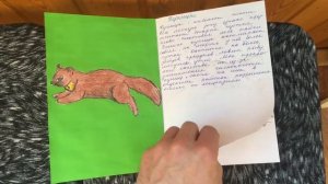 Обзор красной книги. Своими руками.