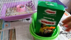 КАК УХАЖИВАТЬ ЗА ХОМЯКАМИ? | СОВЕТЫ ПО УХОДУ И СОДЕРЖАНИЮ