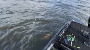 PAL 2023 на Горьковском водохранилище - ИСПЫТАНИЕ ПРОЙДЕНО | Как это было и что пошло не по плану