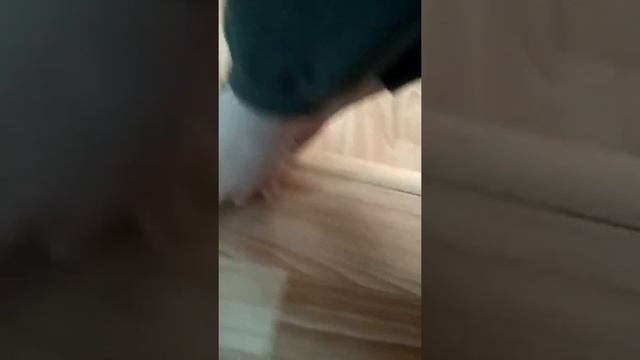 Птенец воробья