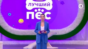 Новое шоу! | Лучший пёс |с 19 сентября в 12:00 на ТВ-3