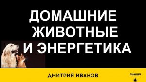 Ментальность животных