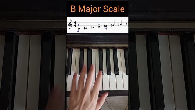 B Major Scale 😊 -PIANO FINGERING- 🎹😉 #piano #musictheory