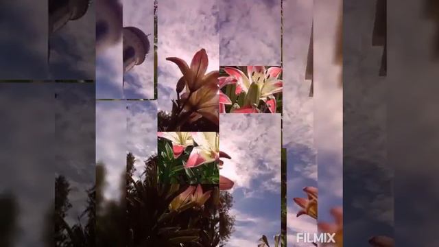 Слайд Шоу "С добрым утром ".(фотограф Поспелов А. А. )💞