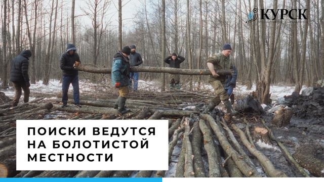 Курские поисковики нашли в болоте сбитый самолёт
