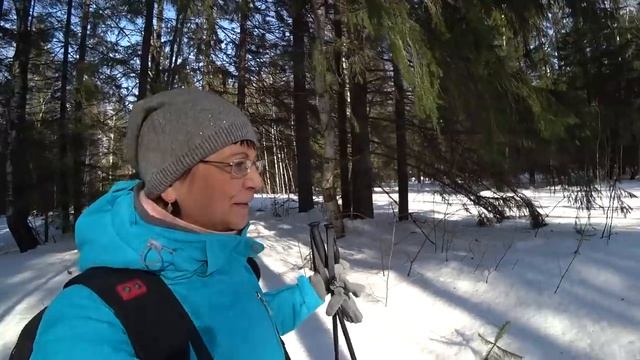 Дальний поход в лес на лыжах.16 марта 2019.