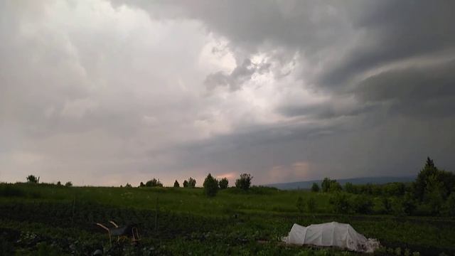 Гроза в деревне. Ржавчина на смородине, ёште. #грозавдеревне,#ржавчинанасмородине,#ржавчинанаёште. смотреть онлайн