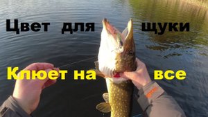 Ищем нерабочий цвет воблера для щуки
