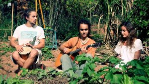 Bongo Bong - Manu Chao (cover by TRILÚMIA)
