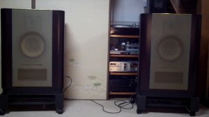 DIATONE R-305 (2S-305) Monitor Speaker  (JAZZ)   PONTA BOX