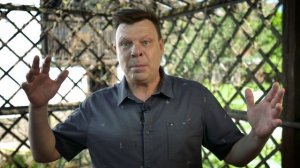 В кольце друзей №31