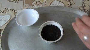 Как вырастить лаванду Посев семян