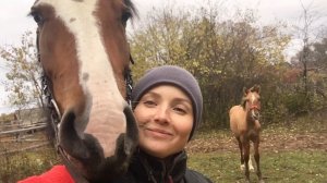 Как себя чувствуют лошади? Разминаем косточки прогулка по холмам на лошади. Вид с высоты.