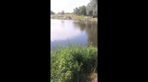 Урок по ловле осетра.