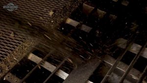 Уборка и сушка подсолнечника. Конвейерная зерносушилка ASM-AGRO-34