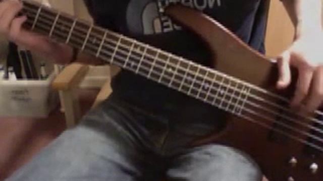 The Killers - Somebody Told Me Bass Cover смотреть онлайн