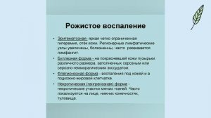 Рожистое воспаление