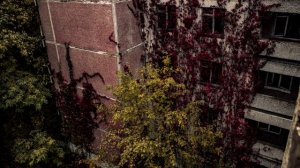 Сталкер топ релакс фм  музыка  Подпишись не пропускай новинки #stalker  #релакс