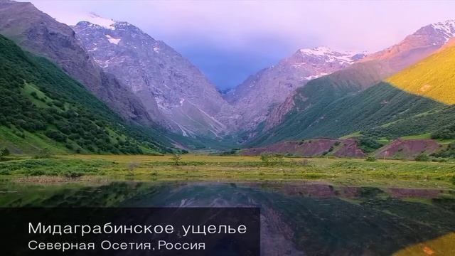 Мир природы 2022