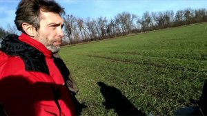 Оценка состояния озимой пшеницы