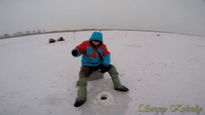 ЛОВЛЯ ОКУНЯ НА ПИРАМИДУ!!! Сверхэффективная приманка для ловли окуня