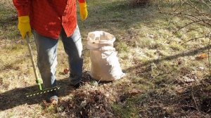 Расчистка участка.Весенняя уборка участка от прошлогодней травы.Сажаем куст.Демонтаж потолка и стен