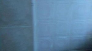 Продажа дома, видеообзор. Псковская область, Новосокольнический район, деревня Станьково.