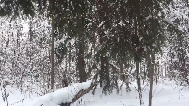 Треск костра? смотреть онлайн