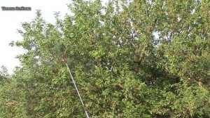 Опрыскиватель ранцевый аккумуляторный ЖУК Электро Классик ОРА 416, 16 литров