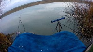 Ловля плотвы на пикерное удилище в конце октября. Закрытие сезона фидерной ловли 2023.