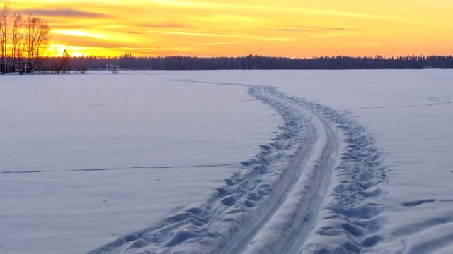 Мотыля больше не покупаю. Эта наживка в 10 раз уловистее мотыля. Для зимняя рыбалка