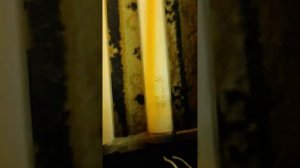 Включение лампы ЛБУ-30 спустя 10 лет