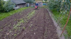 Фрезеруем почву мотоблоком Nikkey MK-1550