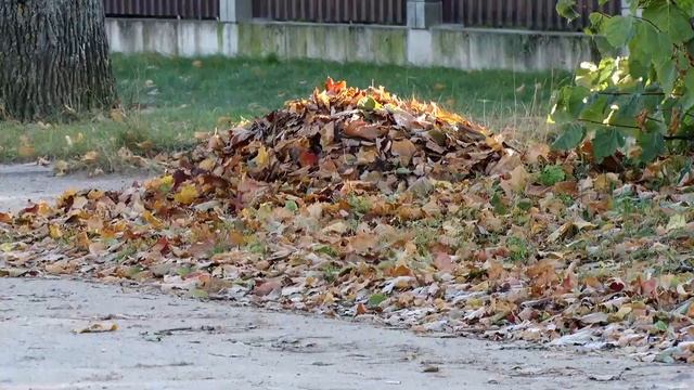 ВЛАДЕЛЬЦАМ ЧАСТНЫХ ДОМОВ БОЛЬШЕ НЕ ПРИДЕТСЯ УБИРАТЬ ПРИЛЕГАЮЩУЮ ТЕРРИТОРИЮ смотреть онлайн