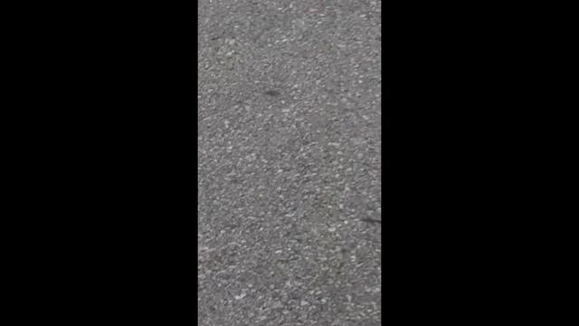 Америка. День независимости смотреть онлайн