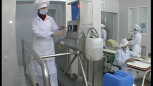 Производство пельменей "Смачные".VOB