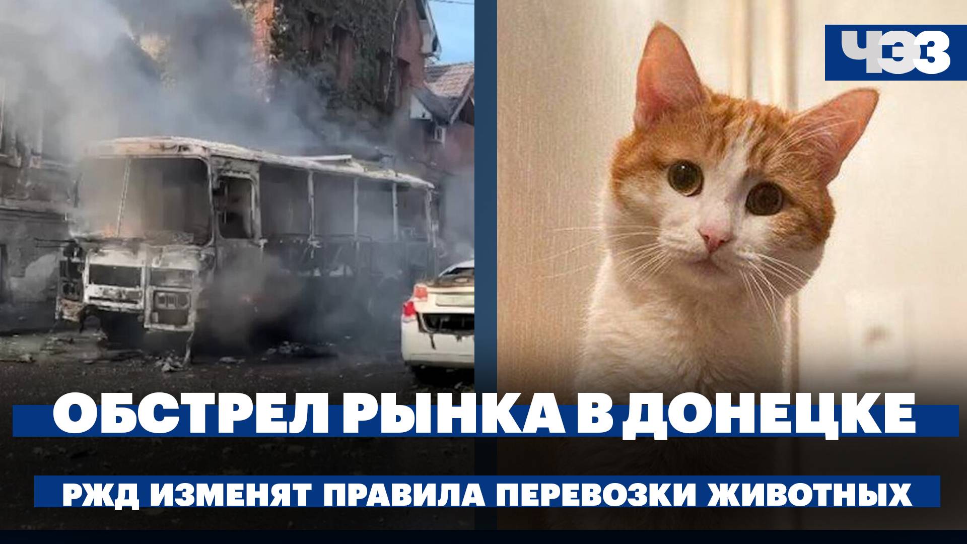 Обстрел рынка в Донецке. РЖД изменят правила перевозки животных после гибели кота Твикса