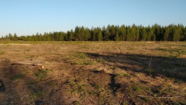 Переезд в Рассию.