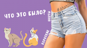 Что это было?..) #shorts