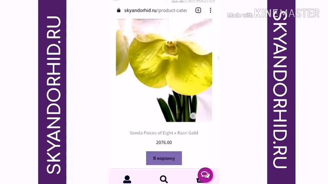 Категории товаров на сайте SKYandOrhid.ru смотреть онлайн