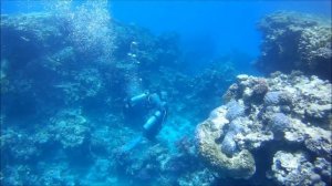 Sharm El Sheikh 2015 - El Faraana - Reef - short video