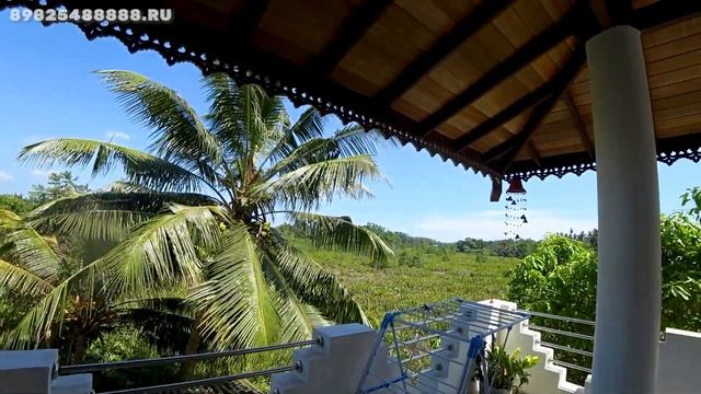 Проводы ребят в Россию, переезд в новую виллу, Шри-Ланка в марте смотреть онлайн