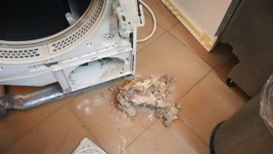 Как почистить сушильную машину самому.
